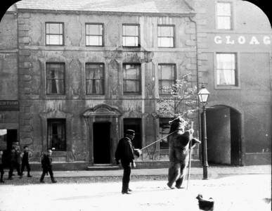 dancing bear on Main Street (outside Huntsman pub)